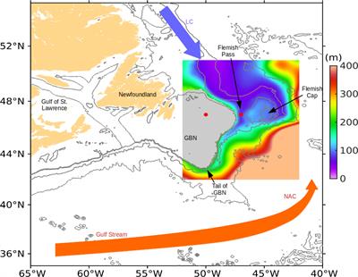 Model simulated freshwater transport along the Labrador current east of the Grand Banks of Newfoundland